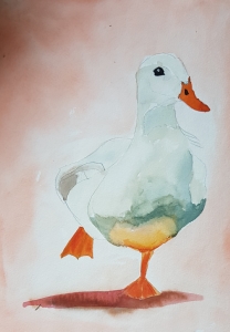 GAns1
